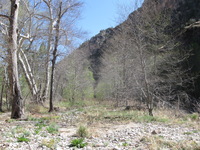 Canon PowerShot A590 IS, 2009:04:21 16:08:52 -- 1/320 sec, f/4.0.  No Flash, Auto.3264x2448 Red-Eye Reduction (Auto).