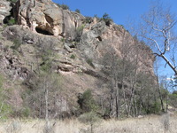 Canon PowerShot A590 IS, 2009:04:21 16:10:40 -- 1/400 sec, f/4.0.  No Flash, Auto.3264x2448 Red-Eye Reduction (Auto).