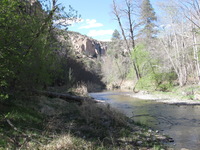 Canon PowerShot A590 IS, 2009:04:21 16:11:43 -- 1/200 sec, f/4.0.  No Flash, Auto.3264x2448 Red-Eye Reduction (Auto).