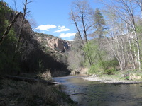 Canon PowerShot A590 IS, 2009:04:21 16:11:50 -- 1/320 sec, f/4.0.  No Flash, Auto.3264x2448 Red-Eye Reduction (Auto).