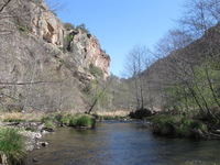 Canon PowerShot A590 IS, 2009:04:21 16:12:14 -- 1/320 sec, f/4.0.  No Flash, Auto.3264x2448 Red-Eye Reduction (Auto).