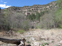 Canon PowerShot A590 IS, 2009:04:21 16:19:39 -- 1/500 sec, f/4.0.  No Flash, Auto.3264x2448 Red-Eye Reduction (Auto).