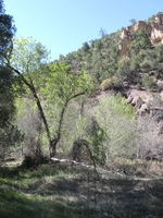 Canon PowerShot A590 IS, 2009:04:21 16:27:34 -- 1/160 sec, f/4.0.  No Flash, Auto.3264x2448 Red-Eye Reduction (Auto).