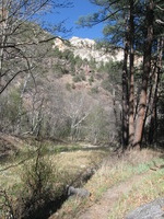 Canon PowerShot A590 IS, 2009:04:21 16:50:44 -- 1/500 sec, f/4.0.  No Flash, Auto.3264x2448 Red-Eye Reduction (Auto).