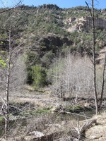 Canon PowerShot A590 IS, 2009:04:21 16:51:56 -- 1/250 sec, f/4.0.  No Flash, Auto.3264x2448 Red-Eye Reduction (Auto).