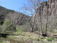 Canon PowerShot A590 IS, 2009:04:22 11:09:26 -- 1/400 sec, f/4.0.  No Flash, Auto.3264x2448 Red-Eye Reduction (Auto).