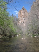 Canon PowerShot A590 IS, 2009:04:22 11:21:35 -- 1/400 sec, f/4.0.  No Flash, Auto.3264x2448 Red-Eye Reduction (Auto).