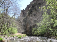 Canon PowerShot A590 IS, 2009:04:22 11:21:41 -- 1/200 sec, f/4.0.  No Flash, Auto.3264x2448 Red-Eye Reduction (Auto).