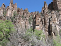 Canon PowerShot A590 IS, 2009:04:22 11:26:19 -- 1/400 sec, f/4.0.  No Flash, Auto.3264x2448 Red-Eye Reduction (Auto).