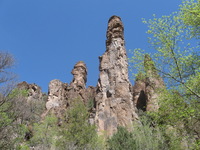 Canon PowerShot A590 IS, 2009:04:22 11:27:30 -- 1/400 sec, f/4.0.  No Flash, Auto.3264x2448 Red-Eye Reduction (Auto).