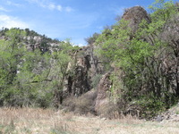 Canon PowerShot A590 IS, 2009:04:22 11:27:33 -- 1/320 sec, f/4.0.  No Flash, Auto.3264x2448 Red-Eye Reduction (Auto).