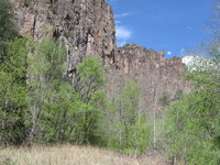 Canon PowerShot A590 IS, 2009:04:22 11:36:01 -- 1/400 sec, f/4.0.  No Flash, Auto.3264x2448 Red-Eye Reduction (Auto).