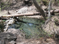 Canon PowerShot A590 IS, 2009:04:22 12:49:01 -- 1/200 sec, f/4.0.  No Flash, Auto.3264x2448 Red-Eye Reduction (Auto).