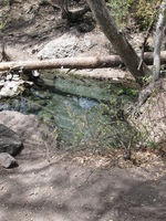 Canon PowerShot A590 IS, 2009:04:22 12:49:04 -- 1/200 sec, f/4.0.  No Flash, Auto.3264x2448 Red-Eye Reduction (Auto).