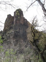 Canon PowerShot A590 IS, 2009:04:22 12:49:13 -- 1/320 sec, f/4.0.  No Flash, Auto.3264x2448 Red-Eye Reduction (Auto).