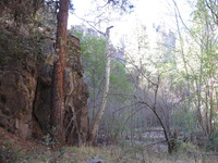 Canon PowerShot A590 IS, 2009:04:23 09:21:16 -- 1/60 sec, f/2.6.  No Flash, Auto.3264x2448 Red-Eye Reduction (Auto).