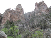 Canon PowerShot A590 IS, 2009:04:23 14:34:36 -- 1/125 sec, f/4.0.  No Flash, Auto.3264x2448 Red-Eye Reduction (Auto).