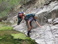 Canon PowerShot A590 IS, 2009:04:23 14:37:40 -- 1/80 sec, f/4.0.  No Flash, Auto.3264x2448 Red-Eye Reduction (Auto).