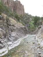 Canon PowerShot A590 IS, 2009:04:23 14:37:44 -- 1/100 sec, f/4.0.  No Flash, Auto.3264x2448 Red-Eye Reduction (Auto).