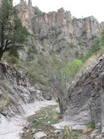 Canon PowerShot A590 IS, 2009:04:23 14:39:34 -- 1/100 sec, f/4.0.  No Flash, Auto.3264x2448 Red-Eye Reduction (Auto).