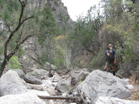 Canon PowerShot A590 IS, 2009:04:23 14:51:18 -- 1/125 sec, f/4.0.  No Flash, Auto.3264x2448 Red-Eye Reduction (Auto).