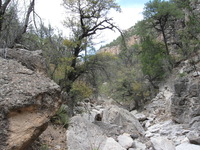 Canon PowerShot A590 IS, 2009:04:23 14:51:25 -- 1/160 sec, f/4.0.  No Flash, Auto.3264x2448 Red-Eye Reduction (Auto).