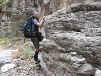 Canon PowerShot A590 IS, 2009:04:23 14:55:48 -- 1/80 sec, f/4.0.  No Flash, Auto.3264x2448 Red-Eye Reduction (Auto).