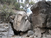 Canon PowerShot A590 IS, 2009:04:23 14:56:56 -- 1/100 sec, f/4.0.  No Flash, Auto.3264x2448 Red-Eye Reduction (Auto).