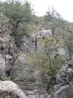 Canon PowerShot A590 IS, 2009:04:23 14:57:00 -- 1/100 sec, f/4.0.  No Flash, Auto.3264x2448 Red-Eye Reduction (Auto).