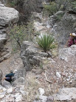 Canon PowerShot A590 IS, 2009:04:23 14:58:26 -- 1/160 sec, f/4.0.  No Flash, Auto.3264x2448 Red-Eye Reduction (Auto).