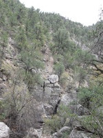 Canon PowerShot A590 IS, 2009:04:23 14:58:41 -- 1/100 sec, f/4.0.  No Flash, Auto.3264x2448 Red-Eye Reduction (Auto).