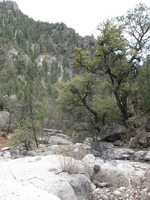 Canon PowerShot A590 IS, 2009:04:23 15:00:09 -- 1/160 sec, f/4.0.  Flash, Auto, Red-Eye Reduce.3264x2448 Red-Eye Reduction (Auto).