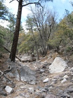 Canon PowerShot A590 IS, 2009:04:23 15:08:12 -- 1/250 sec, f/4.0.  No Flash, Auto.3264x2448 Red-Eye Reduction (Auto).