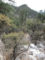 Canon PowerShot A590 IS, 2009:04:23 15:08:17 -- 1/200 sec, f/4.0.  No Flash, Auto.3264x2448 Red-Eye Reduction (Auto).