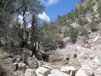 Canon PowerShot A590 IS, 2009:04:23 15:35:17 -- 1/640 sec, f/4.0.  No Flash, Auto.3264x2448 Red-Eye Reduction (Auto).