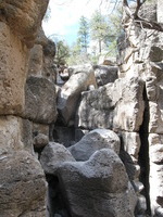 Canon PowerShot A590 IS, 2009:04:23 15:39:22 -- 1/160 sec, f/4.0.  No Flash, Auto.3264x2448 Red-Eye Reduction (Auto).