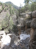 Canon PowerShot A590 IS, 2009:04:23 15:44:26 -- 1/200 sec, f/4.0.  No Flash, Auto.3264x2448 Red-Eye Reduction (Auto).