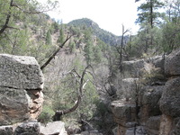 Canon PowerShot A590 IS, 2009:04:23 15:44:31 -- 1/200 sec, f/4.0.  No Flash, Auto.3264x2448 Red-Eye Reduction (Auto).