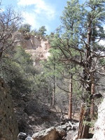 Canon PowerShot A590 IS, 2009:04:23 16:09:14 -- 1/200 sec, f/4.0.  No Flash, Auto.3264x2448 Red-Eye Reduction (Auto).