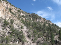 Canon PowerShot A590 IS, 2009:04:23 16:24:45 -- 1/500 sec, f/4.0.  No Flash, Auto.3264x2448 Red-Eye Reduction (Auto).