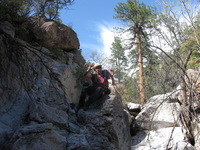 Canon PowerShot A590 IS, 2009:04:23 16:36:25 -- 1/320 sec, f/4.0.  No Flash, Auto.3264x2448 Red-Eye Reduction (Auto).