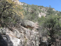 Canon PowerShot A590 IS, 2009:04:23 16:43:43 -- 1/320 sec, f/4.0.  No Flash, Auto.3264x2448 Red-Eye Reduction (Auto).