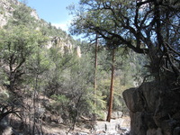 Canon PowerShot A590 IS, 2009:04:23 16:43:46 -- 1/200 sec, f/4.0.  No Flash, Auto.3264x2448 Red-Eye Reduction (Auto).