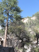 Canon PowerShot A590 IS, 2009:04:23 16:43:56 -- 1/200 sec, f/4.0.  No Flash, Auto.3264x2448 Red-Eye Reduction (Auto).