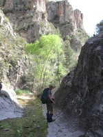 Canon PowerShot A590 IS, 2009:04:23 17:10:44 -- 1/125 sec, f/4.0.  No Flash, Auto.3264x2448 Red-Eye Reduction (Auto).