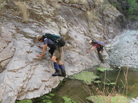 Canon PowerShot A590 IS, 2009:04:23 17:12:52 -- 1/80 sec, f/4.0.  No Flash, Auto.3264x2448 Red-Eye Reduction (Auto).