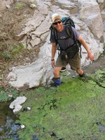 Canon PowerShot A590 IS, 2009:04:23 17:13:25 -- 1/60 sec, f/4.0.  No Flash, Auto.3264x2448 Red-Eye Reduction (Auto).