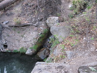 Canon PowerShot A590 IS, 2009:04:23 18:42:19 -- 1/60 sec, f/2.6.  No Flash, Auto.3264x2448 Red-Eye Reduction (Auto).