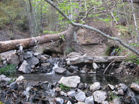 Canon PowerShot A590 IS, 2009:04:23 18:43:25 -- 1/60 sec, f/2.6.  No Flash, Auto.3264x2448 Red-Eye Reduction (Auto).