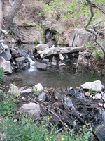 Canon PowerShot A590 IS, 2009:04:23 18:43:33 -- 1/50 sec, f/2.6.  No Flash, Auto.3264x2448 Red-Eye Reduction (Auto).